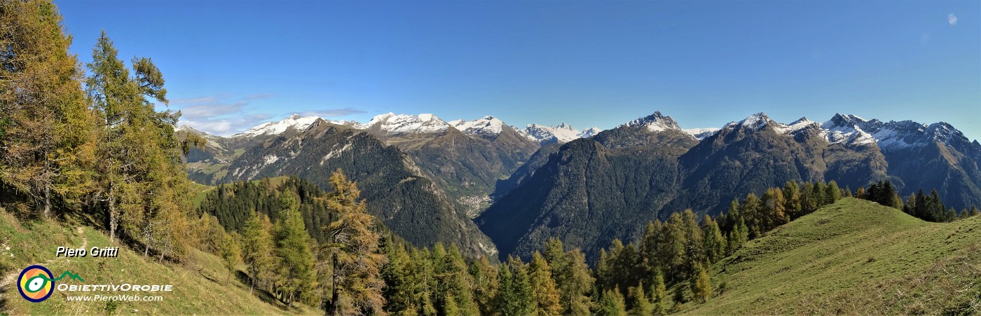 37  Sul sent. 117 dal Forcolino al Monte Colle larici in look autunnale.jpg